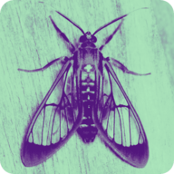 Logo de Gaia 2.0 Aerial Dance Studio